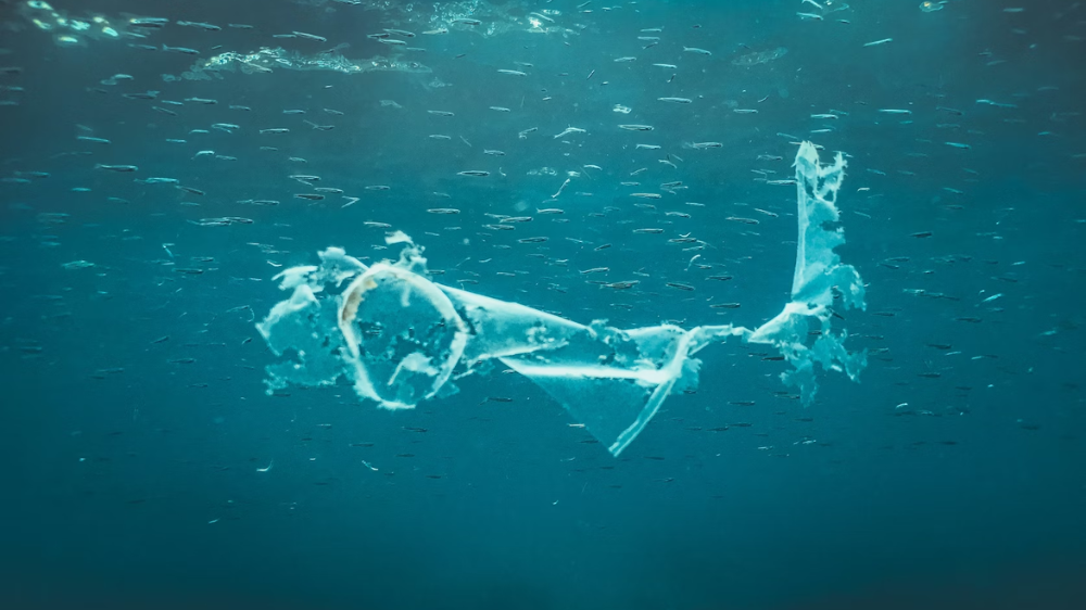 塑料围城，我们错在哪儿？英国新报告：重塑体系才是退路