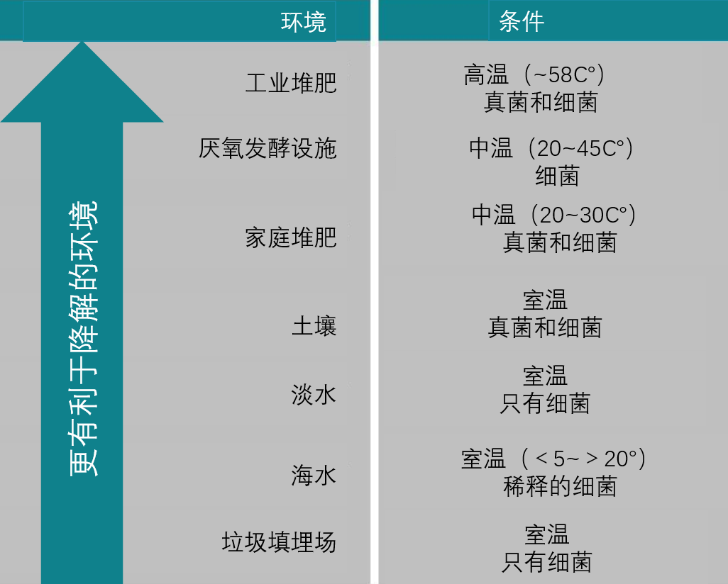 d21b8e31d6499d564236829ebb3a069.png