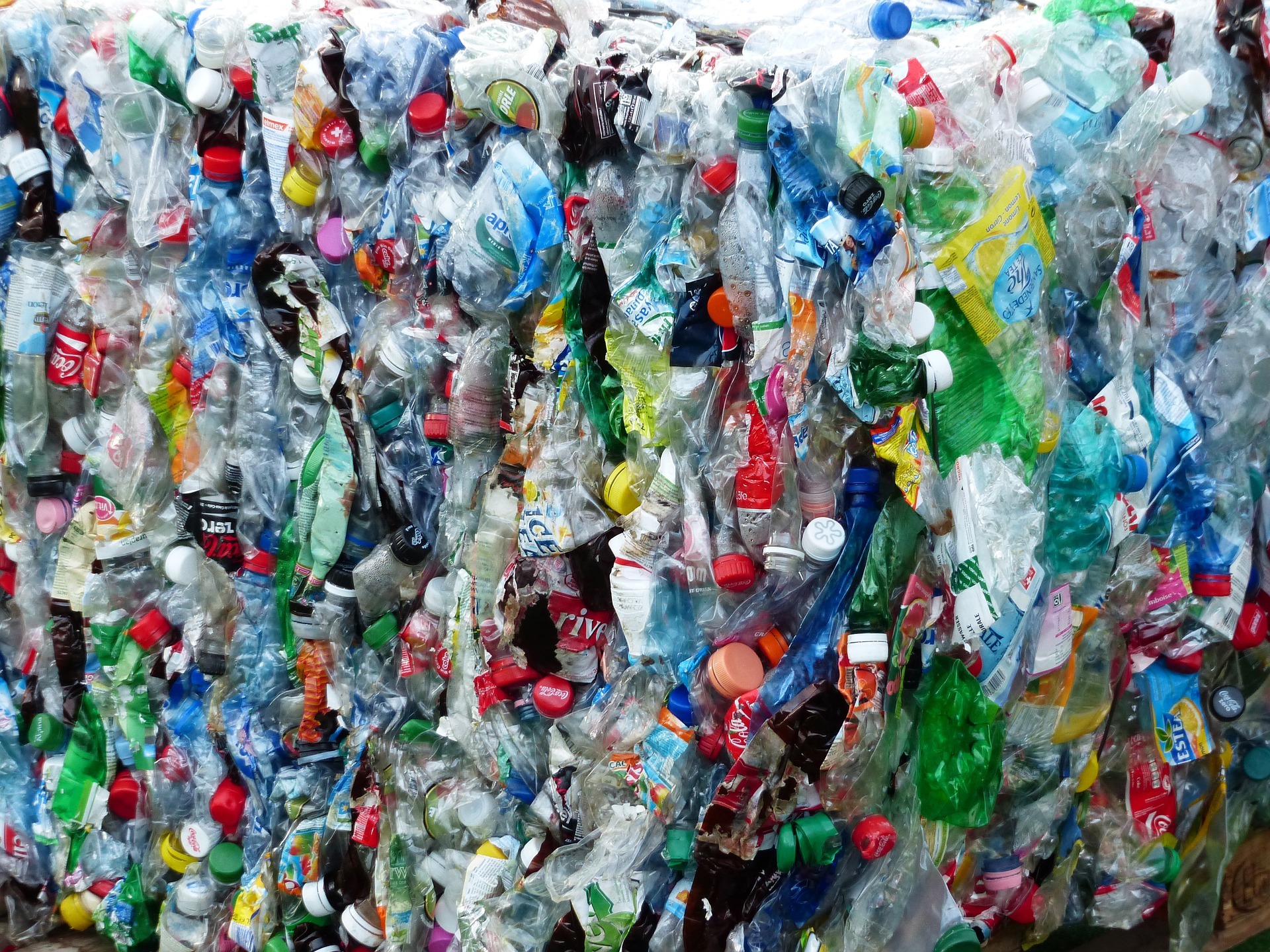 plastic-bottles-115082_1920.jpg plastic-bottles-115082_1920.jpg