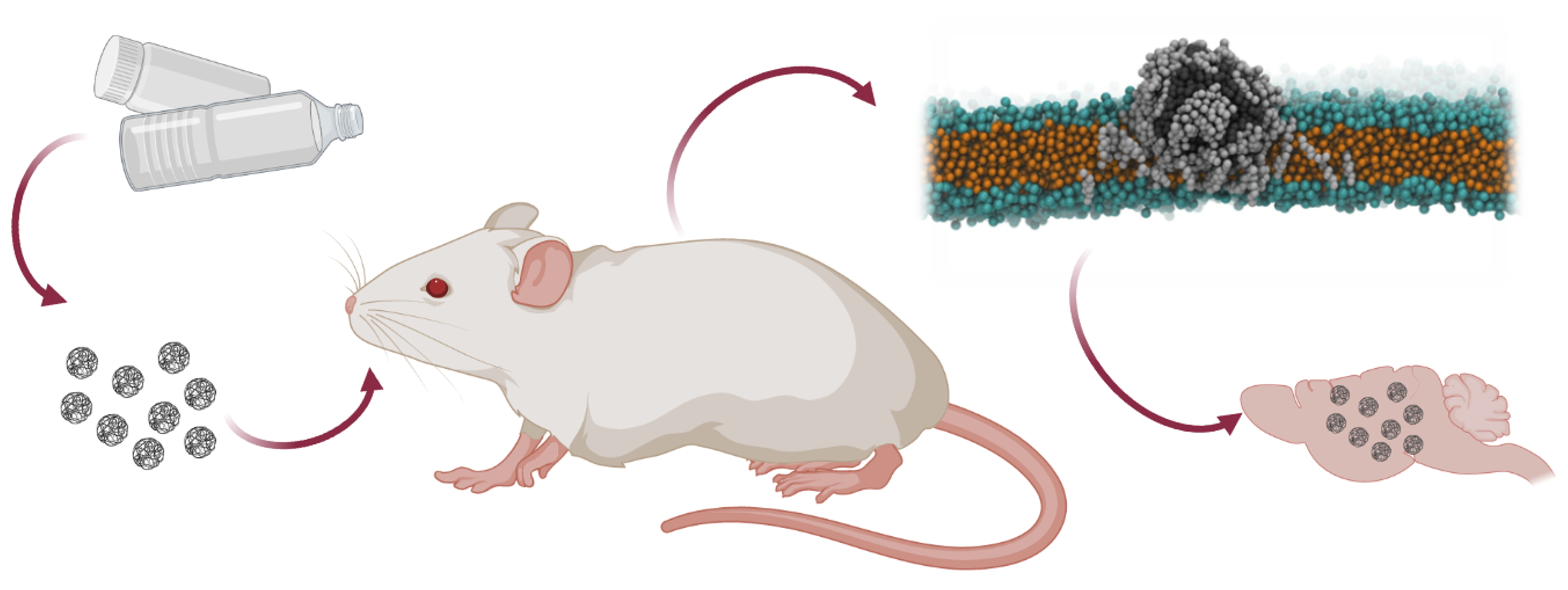 nanomaterials-13-01404-ag.png nanomaterials-13-01404-ag.png