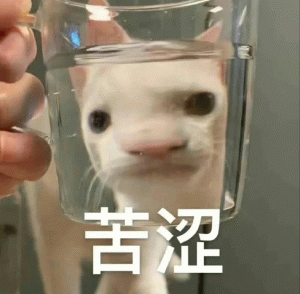 2.gif 2.gif