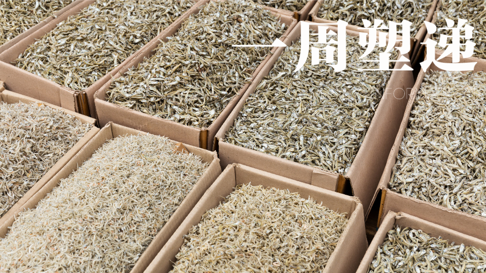 一周“塑”递：海洋鱼类样本微塑料残留，占比达80%