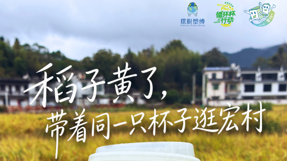 在宏村追秋，借一只杯子慢慢逛