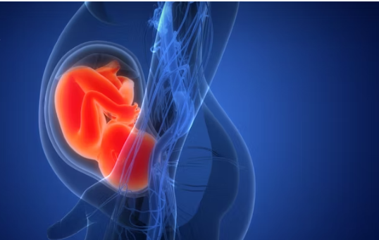 image (6).png image (6).png