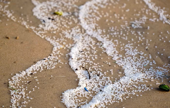 image (5).png image (5).png