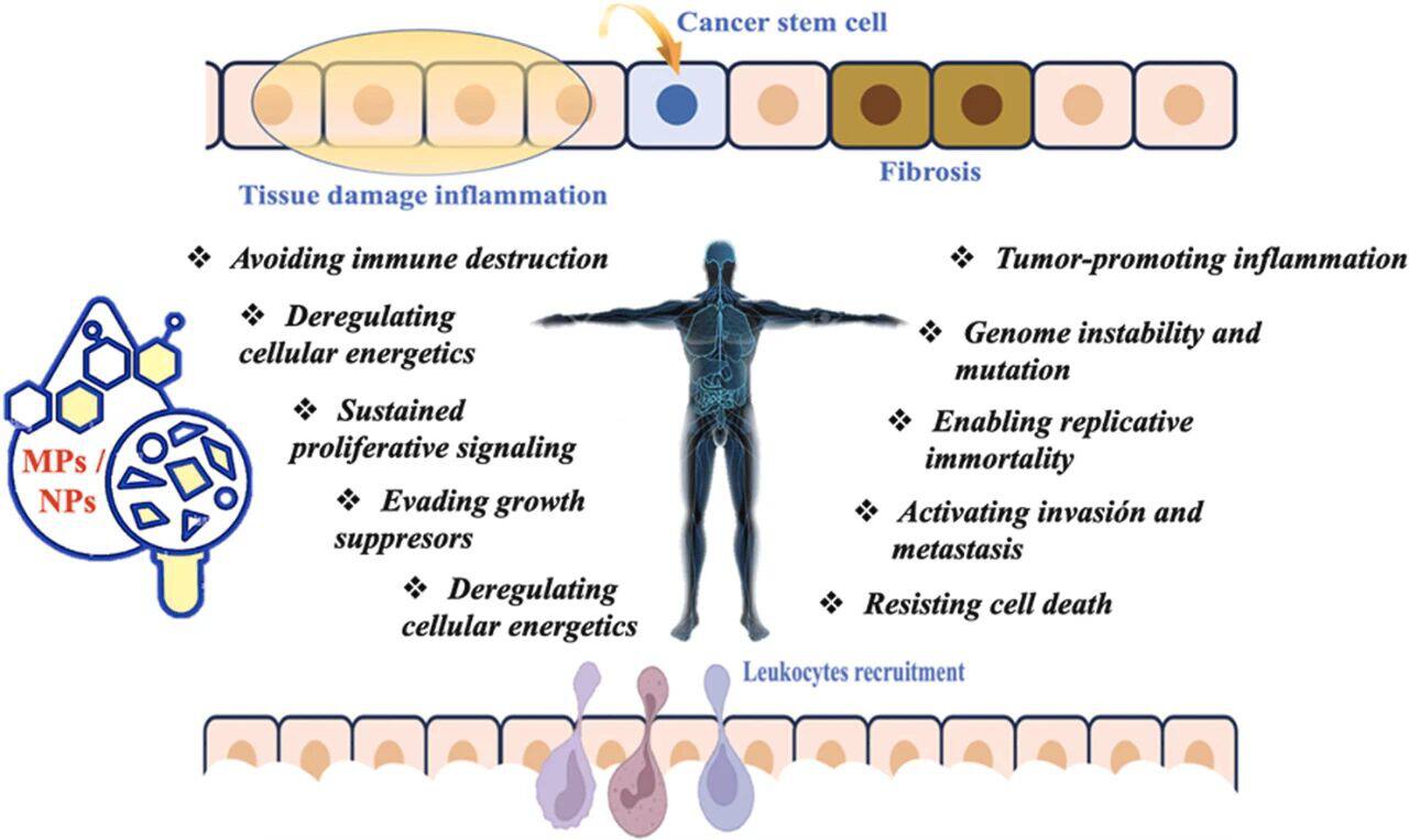 31c637f3087ae00bf549b43113beee40.jpg 31c637f3087ae00bf549b43113beee40.jpg
