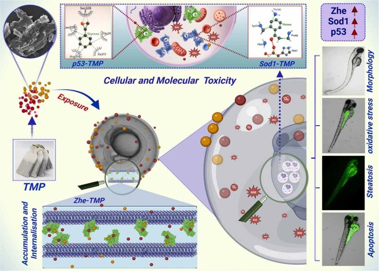 32be7097ce4b21d032e80bf15e455b5e.jpg 32be7097ce4b21d032e80bf15e455b5e.jpg