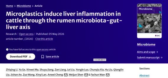 湖南农业大学万发春教授团队：微塑料通过瘤胃微生物群-肠道-肝脏轴诱导肉牛肝脏炎症.jpeg