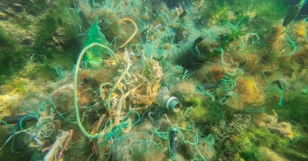 05. 挪威水产行业加入清理塑料污染行动.jpeg 05. 挪威水产行业加入清理塑料污染行动.jpeg